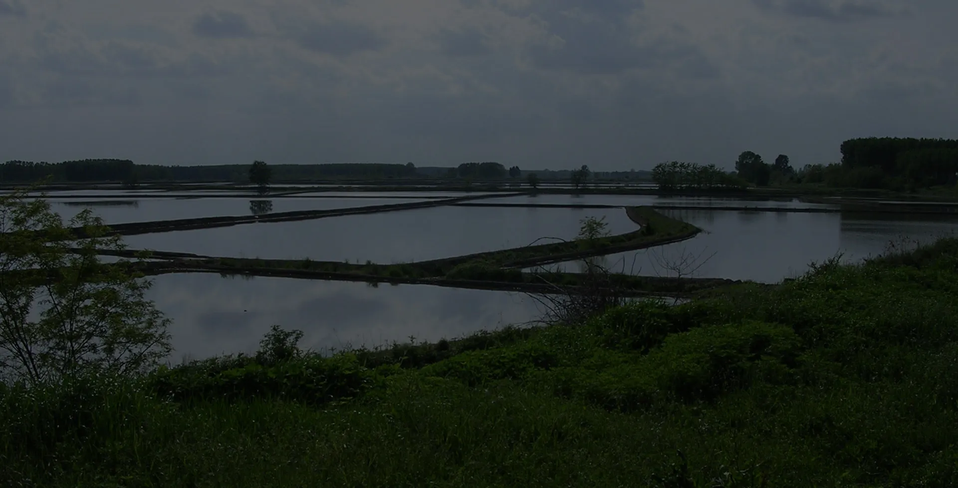 Conoscere l’Ambiente per Viverlo e Tutelarlo